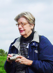A.M. McCann, Namur 2004